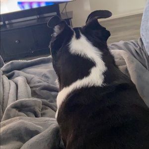 Meet your Posher, Bryce